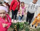 12 мая - День экологического образования